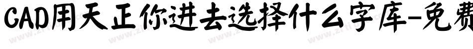 CAD用天正你进去选择什么字库字体转换