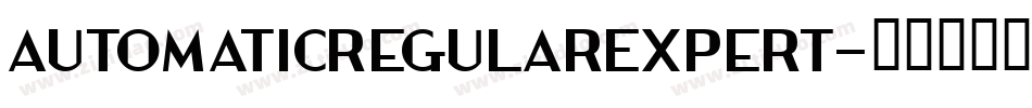 AutomaticRegularExpert字体转换