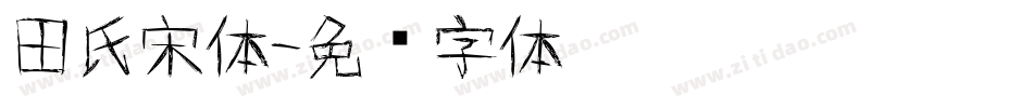 田氏宋体字体转换