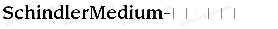 SchindlerMedium字体转换