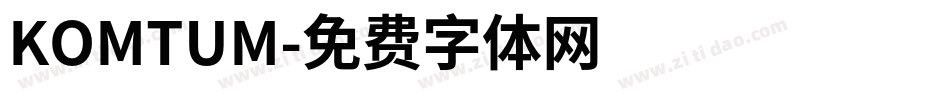 KOMTUM字体转换