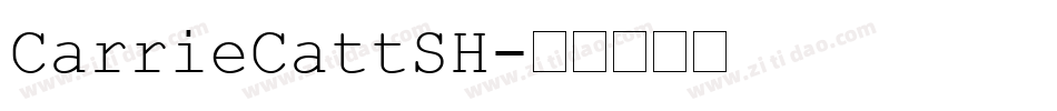 CarrieCattSH字体转换