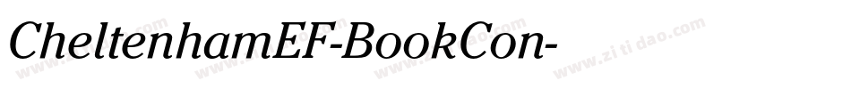 CheltenhamEF-BookCon字体转换