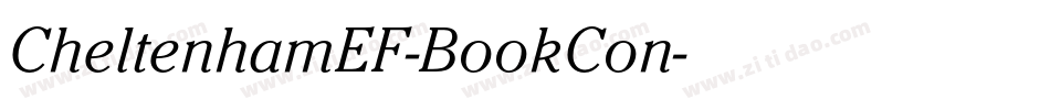 CheltenhamEF-BookCon字体转换