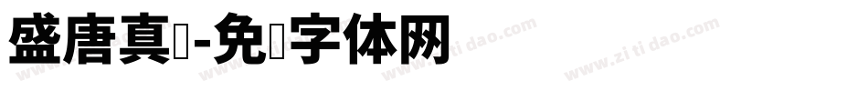 盛唐真书字体转换