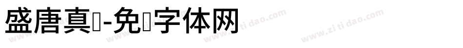 盛唐真书字体转换