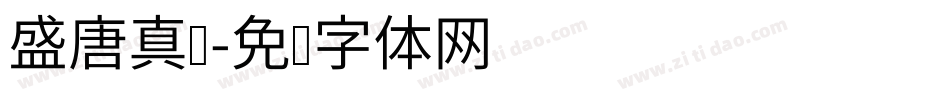 盛唐真书字体转换