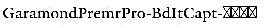 GaramondPremrPro-BdItCapt字体转换