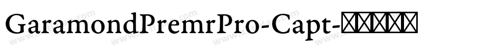 GaramondPremrPro-Capt字体转换