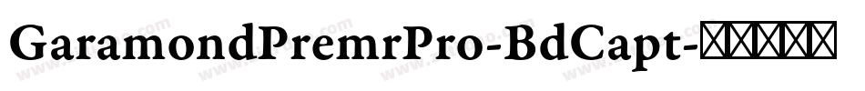 GaramondPremrPro-BdCapt字体转换