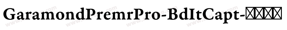 GaramondPremrPro-BdItCapt字体转换