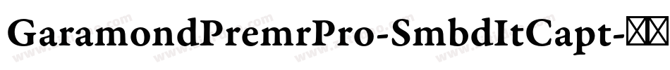 GaramondPremrPro-SmbdItCapt字体转换