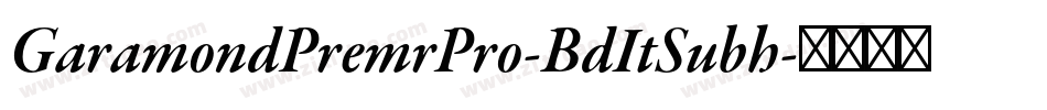 GaramondPremrPro-BdItSubh字体转换