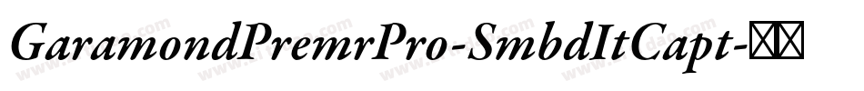 GaramondPremrPro-SmbdItCapt字体转换