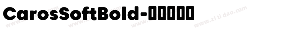 CarosSoftBold字体转换