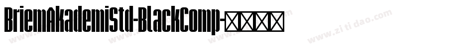 BriemAkademiStd-BlackComp字体转换