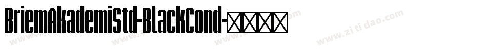 BriemAkademiStd-BlackCond字体转换