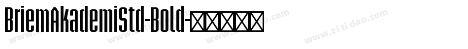 BriemAkademiStd-Bold字体转换