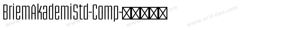 BriemAkademiStd-Comp字体转换