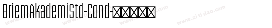 BriemAkademiStd-Cond字体转换