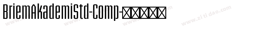 BriemAkademiStd-Comp字体转换