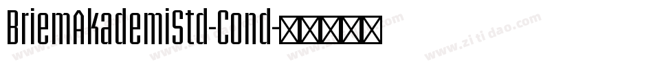 BriemAkademiStd-Cond字体转换