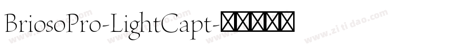 BriosoPro-LightCapt字体转换