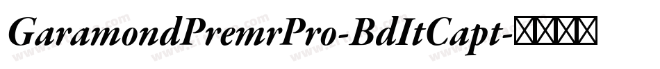 GaramondPremrPro-BdItCapt字体转换