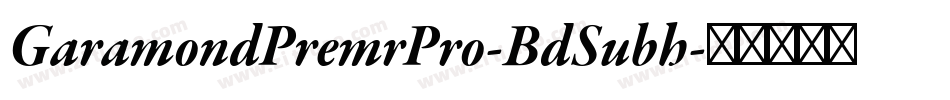 GaramondPremrPro-BdSubh字体转换