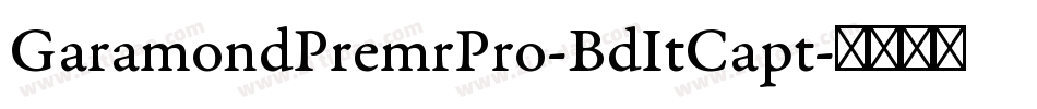 GaramondPremrPro-BdItCapt字体转换