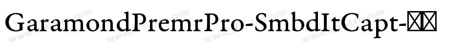 GaramondPremrPro-SmbdItCapt字体转换