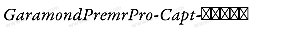 GaramondPremrPro-Capt字体转换