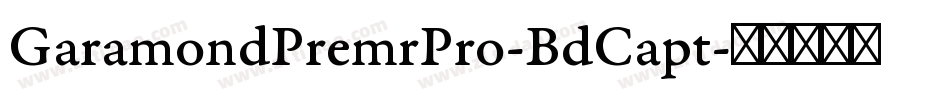 GaramondPremrPro-BdCapt字体转换