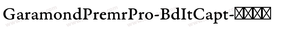 GaramondPremrPro-BdItCapt字体转换