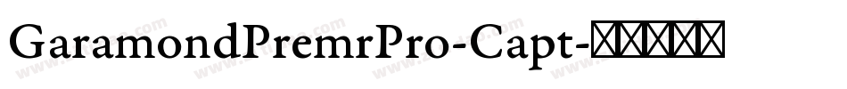 GaramondPremrPro-Capt字体转换