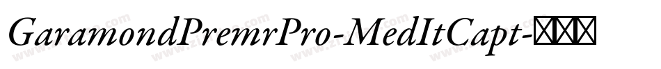 GaramondPremrPro-MedItCapt字体转换