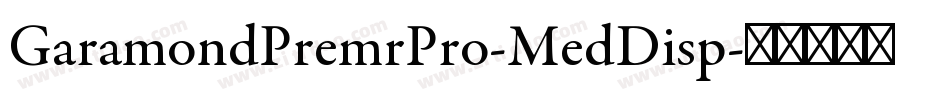 GaramondPremrPro-MedDisp字体转换