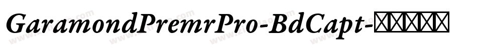 GaramondPremrPro-BdCapt字体转换