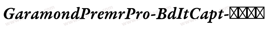 GaramondPremrPro-BdItCapt字体转换