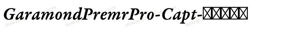 GaramondPremrPro-Capt字体转换