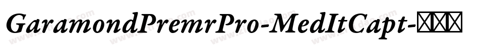 GaramondPremrPro-MedItCapt字体转换