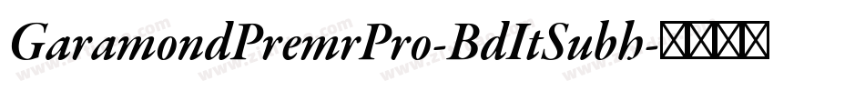 GaramondPremrPro-BdItSubh字体转换