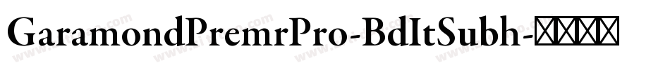 GaramondPremrPro-BdItSubh字体转换