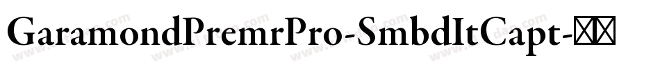 GaramondPremrPro-SmbdItCapt字体转换