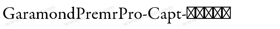 GaramondPremrPro-Capt字体转换