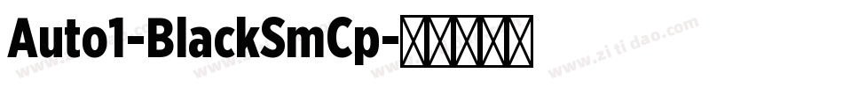 Auto1-BlackSmCp字体转换