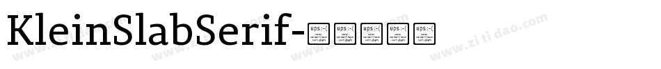 KleinSlabSerif字体转换