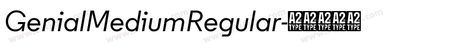 GenialMediumRegular字体转换