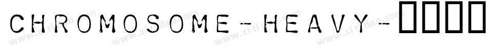 Chromosome-Heavy字体转换