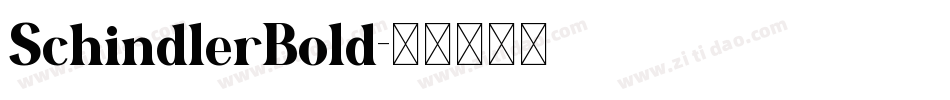 SchindlerBold字体转换